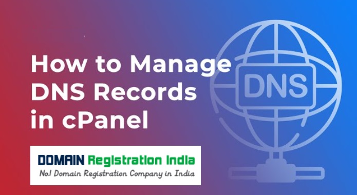 Manage DNS Records in cPanel