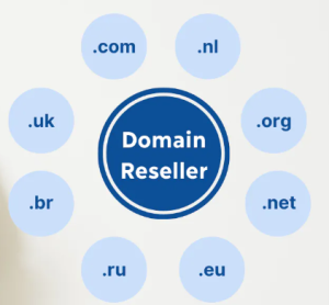 What is domain reseller and how does it work?